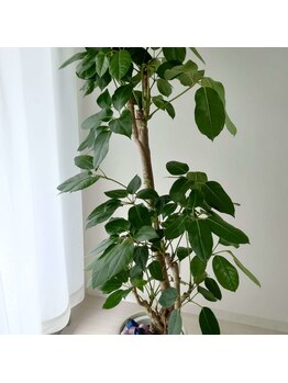 エフアールアイ(f.r.i)/院内風景1