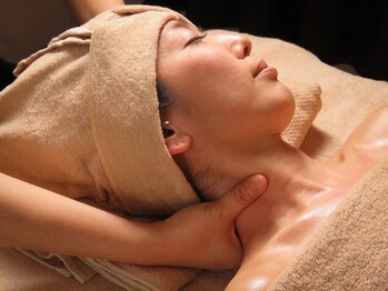 クシェル(kuschel)/