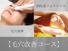 【毛穴改善（開き・たるみ・毛穴目立ち）】BBL光毛穴ピーリングコース