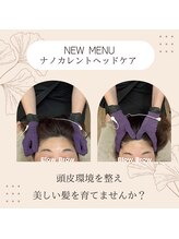 ブロウブロウ(Blow Brow)/ナノカレント　頭活ドライヘッド
