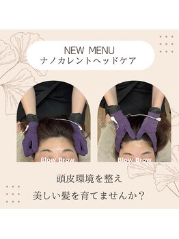 ブロウブロウ(Blow Brow)/ナノカレント　頭活ドライヘッド