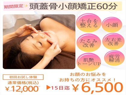 パピヨン(papillon)の写真