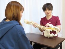 パステル(pastel)の雰囲気(骨の模型を使用しながら歪みの説明をしています。)