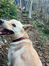 鍼灸Labo アルシア/ひなた3