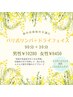 【春のお身体の不調に】バリ式リンパ90＋ドライフェイス30（顏ツボ押し）