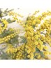 《2回目の方限定!全メニュー10%OFF》