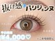 ルルエオノ(Lulu eono)の写真