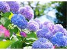 ≪6月、7月限定≫頭痛、足の冷えにお悩みの方オススメ♪ヘッド+足つぼ70分
