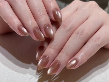 Lily nail 大濠店/パラジェル/フィルイン/ブラウン×マグネット