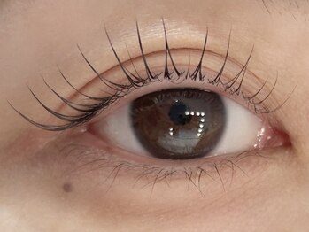 ステラ 恵比寿店(STELLA)/まつ毛パーマ