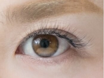 シェア(Share)/Wエクステ 100本(200本)