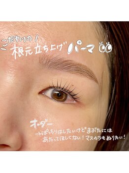 ハオルチア(Haworthia)/