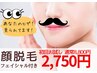 【お試し♪顔脱毛】うぶ毛もおヒゲも撲滅☆フェイシャル付き30分　¥2,750