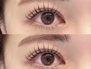 ネオリーブシェリエ 浅草店(Neolive cherie)/～ラッシュリフト～