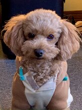 ケン指圧治療院(KEN指圧治療院) 鈴木 ナナ