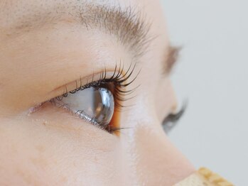 リリィ(Rily)/次世代まつ毛パーマ