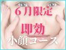 【6月限定】全顔ハーブピーリング＋美鼻小顔フェイシャルマシンコース/銀座