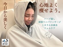 ヨサパーク ピカピカ 宮崎台店(YOSA PARK Picapica)