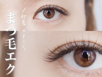 ロイル コア ビューティー(Loeyle core beauty)/目元が変わる＝綺麗、可愛い度UP