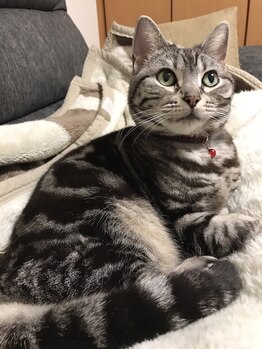 ほぐし処 はなもも/TikTokはじめてみました