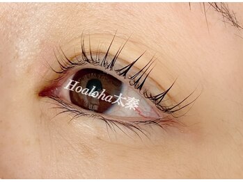 ホアロハ 太秦店(HoAloha)/