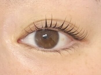 エイトアイラッシュ 藤沢店(eight eyelash)/ラッシュリフト