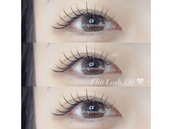 ホワイトカメリア 難波心斎橋店(WhiteCamellia)/フラット120本/マツエクサロン