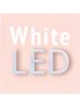 WhiteLEDラッシュ上つけ放題10800円/LINE予約or次回予約9800円※新規オフ無料
