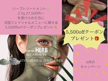 サロン ド ナデシコ(Salon de Nadeshiko)