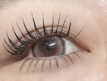 エミーアイラッシュ 大通店(Emii Eyelash)/フラットラッシュ上下180本/Ｄ