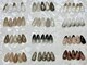 エニュ(anew)の写真/【HAND/FOOT定額ネイル¥4,900～】定額デザインも豊富にご用意◎定額コースは何度でも同価格なのが嬉しい♪