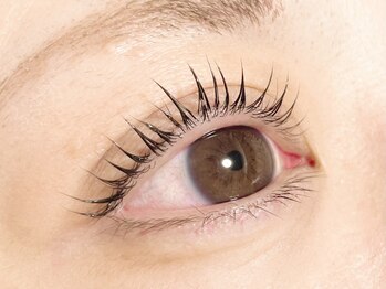 ココルマヴィ(COCORU MA VIE)/