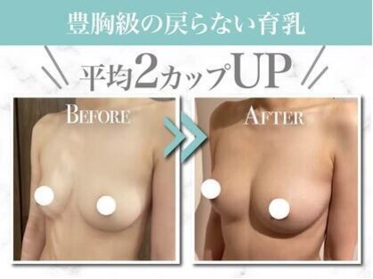 美人バスト 浄心店の写真
