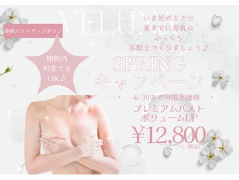ヴェルナ(VELUNA)の写真/春のお得なキャンペーン実施中！バストアップするなら今が始め時♪