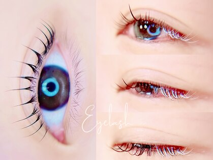 マロウ(mallow)の写真