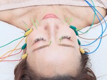 ベルシャ(Belle Chat)