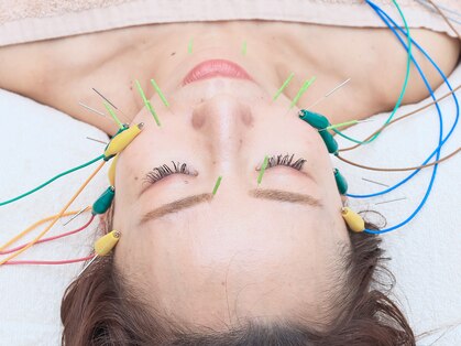 ベルシャ(Belle Chat)の写真