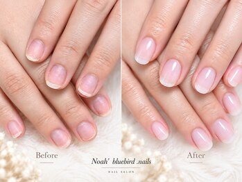 ノアブルーバードネイルズ(Noah' bluebird .nails)の写真/お悩みの方必見《深爪・噛んでしまう・貝爪さんに♪》自爪育成ケアで健やかな爪を育てて自信もGet★