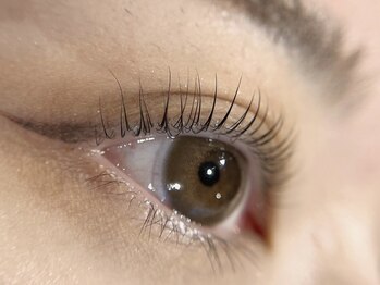 アイラッシュサロンラコタ 池袋東口店(RACOTA)/ラッシュリフト