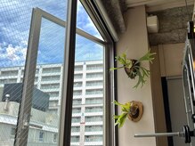 ウェンセン(Wensen.)の雰囲気（大きな窓から気持ちのいい風が入ります！）