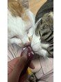 ピーチ(Peach) 保護猫を飼っています☆茶白がロッピ♂、キジ白が楓♀です♪