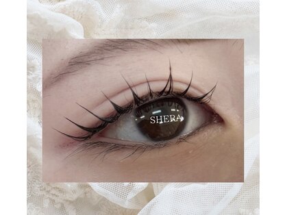 シェラ(SHERA)の写真