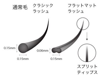 グリッター(glitter)/話題のフラットラッシュ
