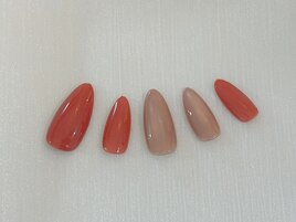 ベーシックコレクション