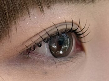 モーヴ(Maeve)/持続力が自慢！まつげパーマ