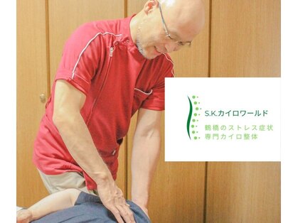 エスケーカイロワールドの写真