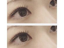 ベル(Belle)/◆フラットラッシュ160本