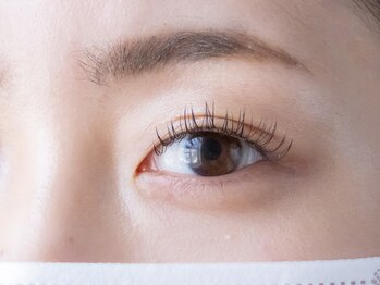 ラブレスルクス(LAVLESS LX)/フラットラッシュ120本