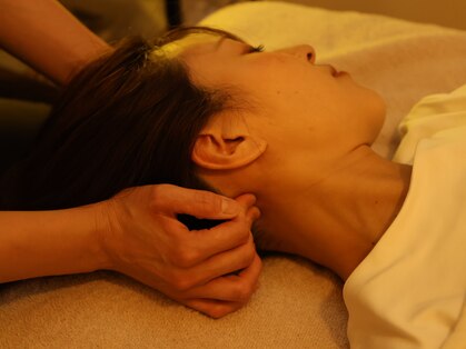 ミモザ(mimosa)の写真