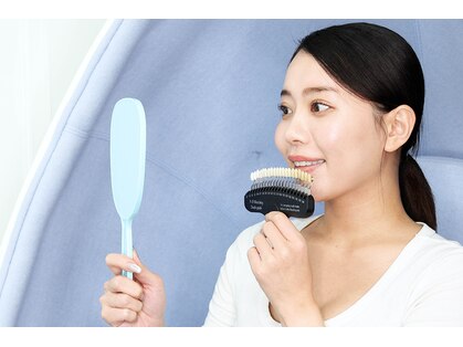 ラバンデュラ(Lavandula)の写真